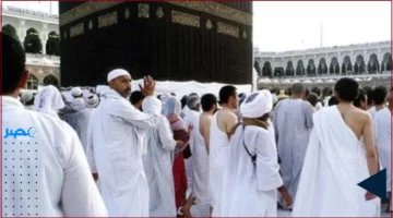 إتمام إجراءات التعاقد لأكثر من مليون حاج يعكس حجم الاستعدادات لاستقرار موسم الحج هذا العام